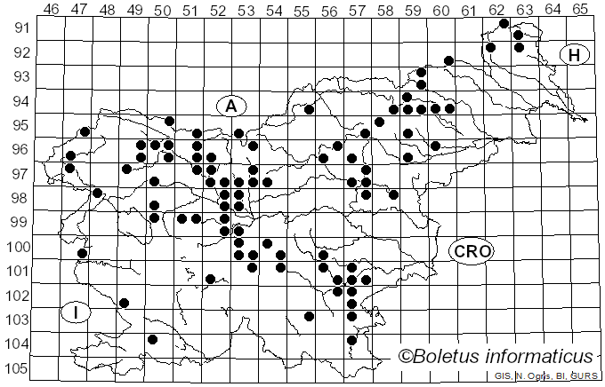 <i>Strobilurus esculentus</i> (Wulfen) Singer (1962)