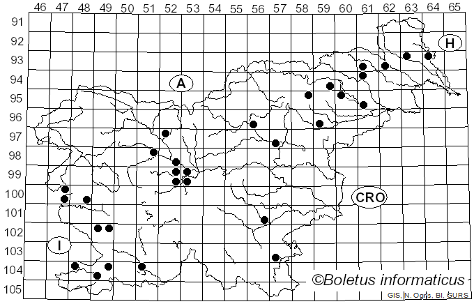 <i>Pholiota populnea</i> (Pers.) Kuyper & Tjall.-Beuk. (1986)