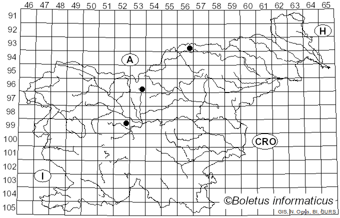 <i>Petrakia liobae</i> Beenken, Andr. Gross & Queloz (2020)