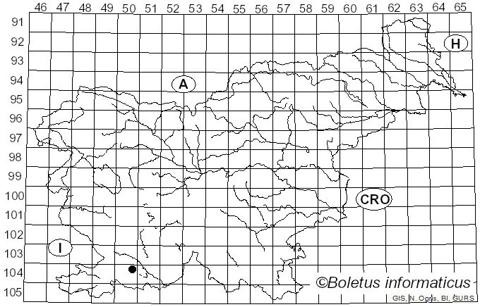 <i>Pirottaea lychnidis</i> (Desm. ex Sacc.) Chlebická (2011)