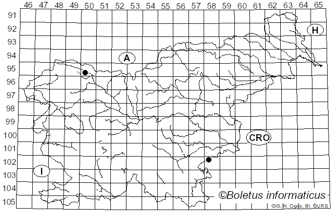 <i>Hydropodia</i> Vizzini & Consiglio (2022)