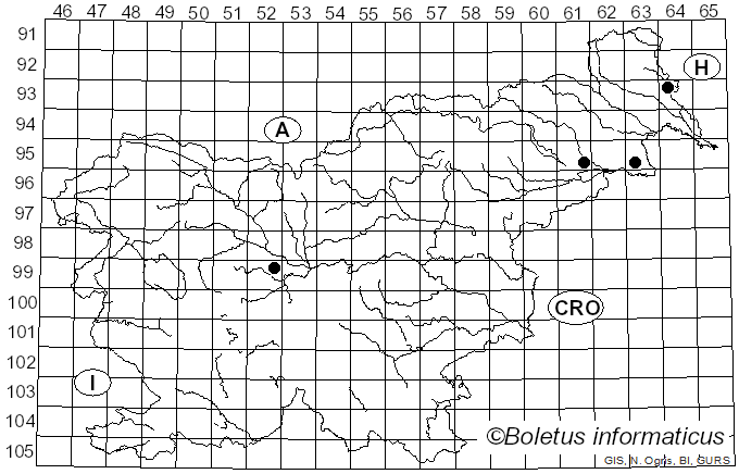 <i>Encoelia glaberrima</i> (Rehm) Kirschst. (1935)