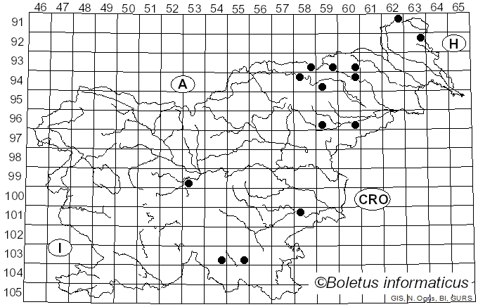 <i>Antrodiella semisupina</i> (Berk. & M.A. Curtis) Ryvarden (1980)