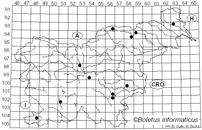 <i>Cumminsiella</i> Arthur (1933)
