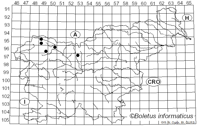 <i>Gibbera</i> Fr. (1825)