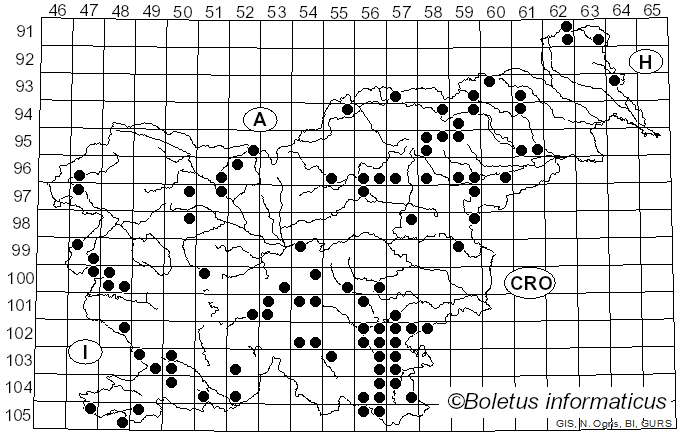 <i>Butyriboletus</i> D. Arora & J.L. Frank (2014)