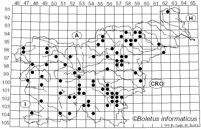 <i>Cortinarius variicolor</i> (Pers.) Fr. (1838)