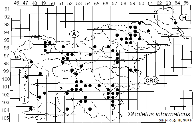 <i>Phlegmacium percome</i> (Fr.) A. Blytt (1905)