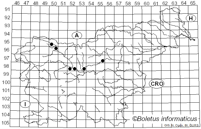 <i>Puccinia sesleriae</i> Reichardt (1877)