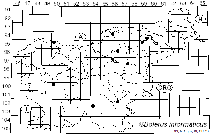 <i>Russula helodes</i> Melzer (1929)