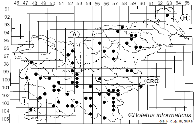 <i>Ganoderma carnosum</i> Pat. (1889)
