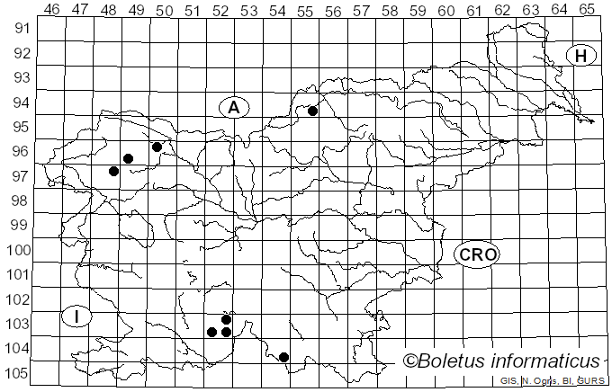 <i>Opegrapha vulgata</i> (Ach.) Ach. (1803)