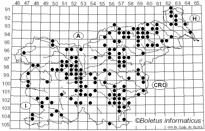 <i>Leccinum versipelle</i> (Fr.) Snell (1944)