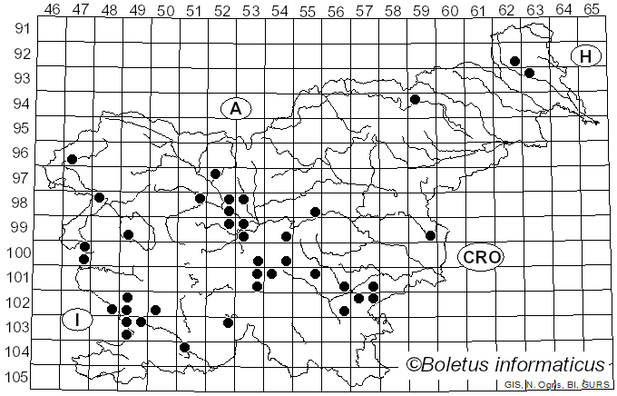 <i>Hygrophorus leucophaeus</i> (Scop.) Fr. (1838)