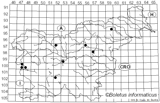 <i>Phallus hadriani</i> Vent. (1801)
