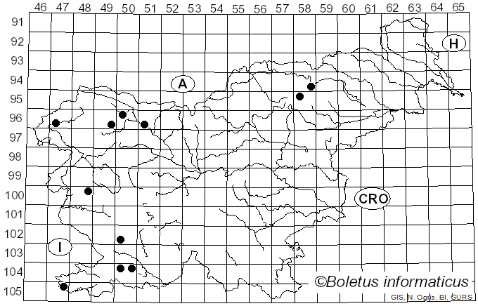 <i>Ascobolus</i> Pers. (1792)