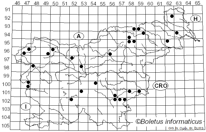 <i>Pholiota lubrica</i> (Pers.) Singer (1951)