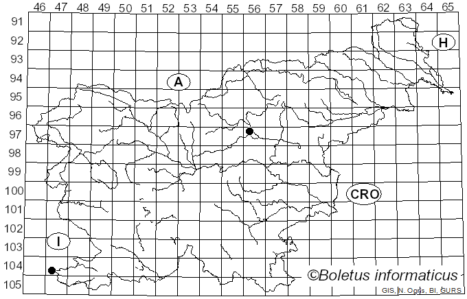 <i>Wilsoniana portulacae</i> (DC.) Thines (2005)