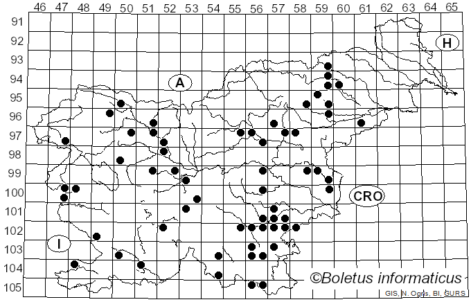<i>Mycena sanguinolenta</i> (Alb. & Schwein.) P. Kumm. (1871)