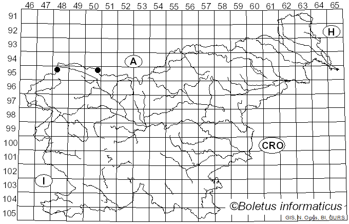 <i>Melampsoridium hiratsukanum</i> S. Ito ex Hirats. f. (1927)