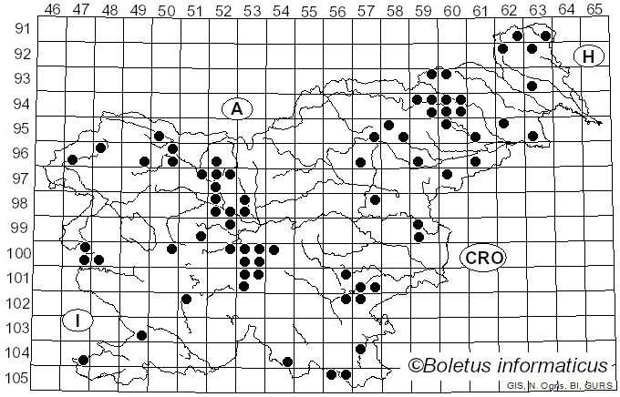<i>Tubaria</i> (W.G. Sm.) Gillet (1876)