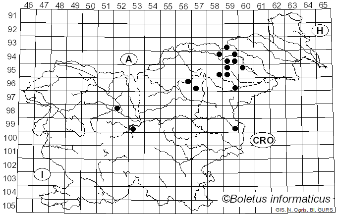 <i>Hebeloma vaccinum</i> Romagn. (1965)