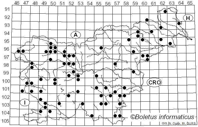 <i>Steccherinum</i> Gray (1821)
