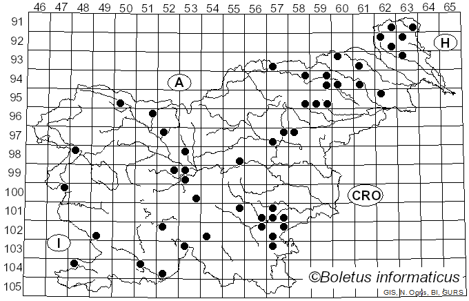<i>Cortinarius elatior</i> Fr. (1838)