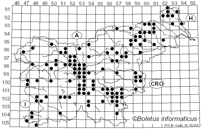 <i>Rhodocollybia butyracea</i> (Bull.) Lennox (1979)