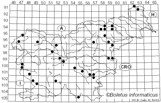 <i>Entoloma sericeum</i> (Bull.) Quél. (1872)