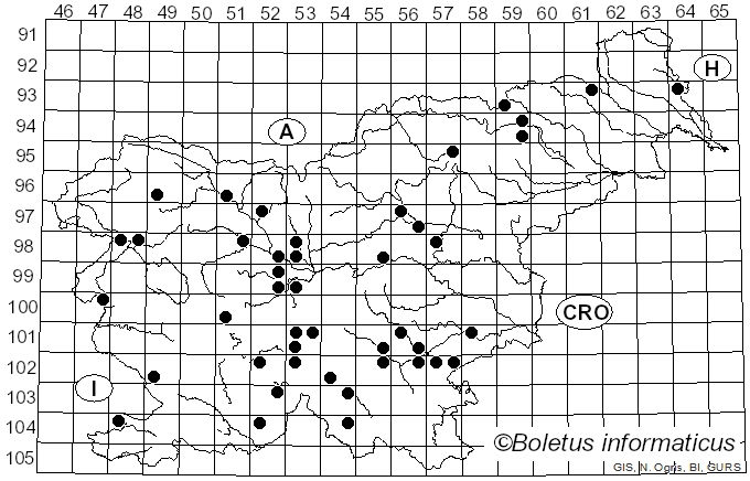 <i>Inocybe pyriodora</i> (Pers.) P. Kumm. (1871)