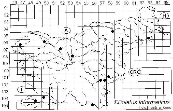 <i>Tarzetta</i> (Cooke) Lambotte (1888)