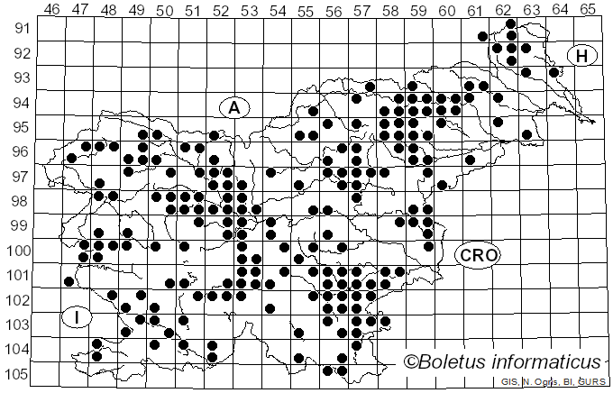 <i>Clavulina</i> J. Schröt. (1888)