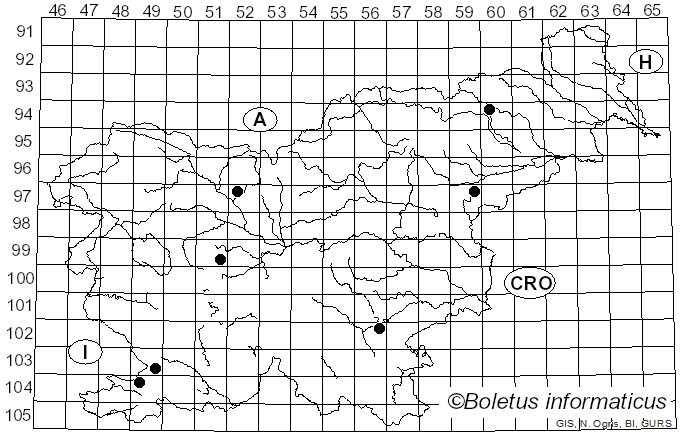 <i>Porostereum</i> Pilát (1937)