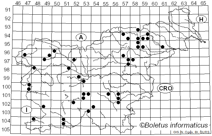 <i>Cortinarius spilomeus</i> (Fr.) Fr. (1863)