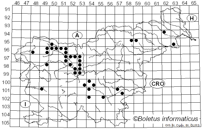 <i>Pseudoplectania nigrella</i> (Pers.) Fuckel (1869)