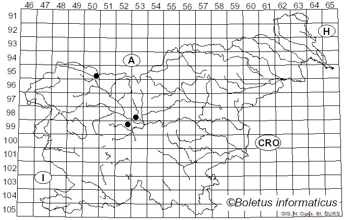 <i>Lecidella parasema</i> (Ach.) Arnold (1873)