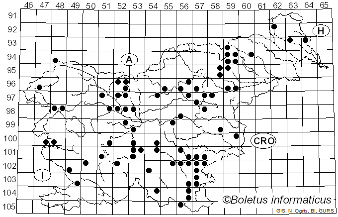 <i>Geastrum rufescens</i> Pers. (1801)