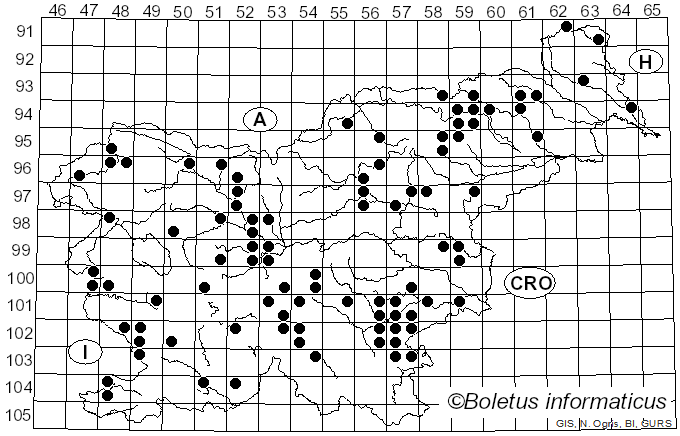 <i>Hebeloma crustuliniforme</i> (Bull.) Quél. (1872)