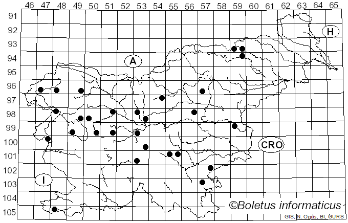 <i>Cuphophyllus russocoriaceus</i> (Berk. & T.K. Mill.) Bon (1985)