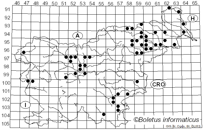<i>Hortiboletus rubellus</i> (Krombh.) Simonini, Vizzini & Gelardi (2015)