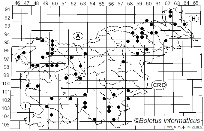 <i>Stereum rugosum</i> Pers. (1794)