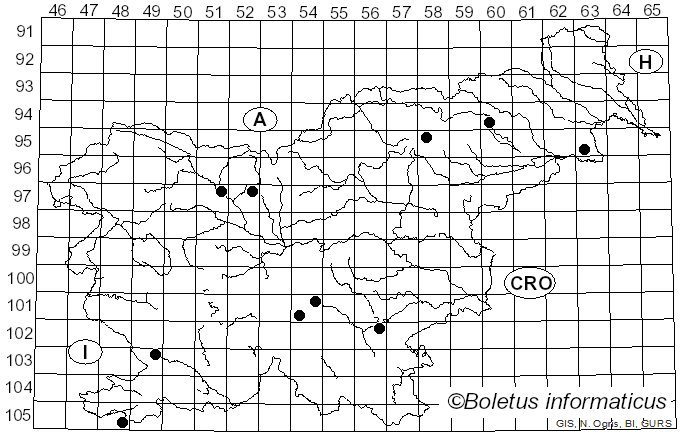 <i>Helvella solitaria</i> P. Karst. (1871)