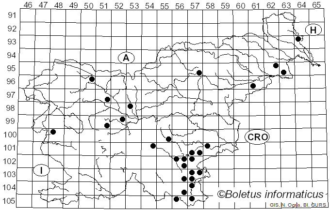 <i>Climacodon</i> P. Karst. (1881)