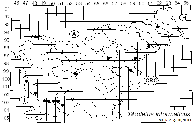 <i>Dothistroma pini</i> Hulbary (1941)