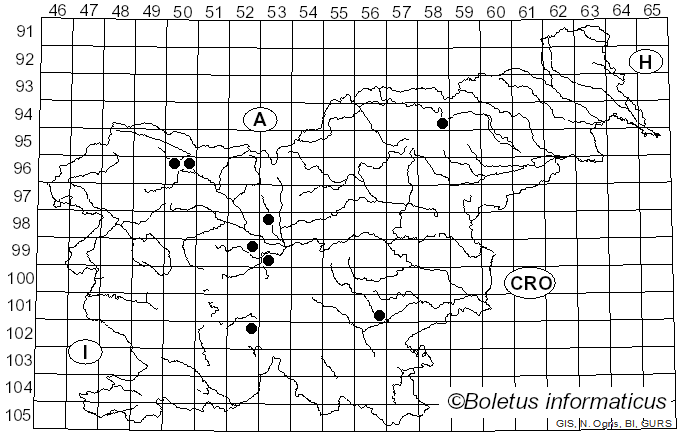 <i>Coccomyces</i> De Not. (1847)