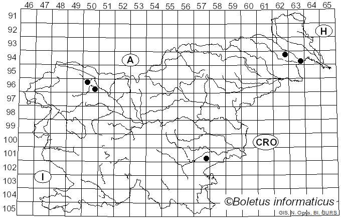 <i>Ditangium</i> P. Karst. (1867)