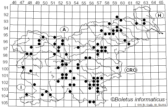 <i>Agaricus augustus</i> Fr. (1838)