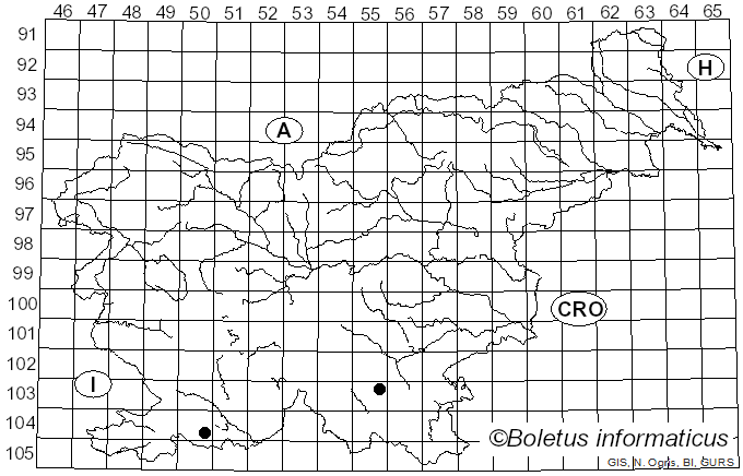 <i>Arctoparmelia incurva</i> (Pers.) Hale (1986)
