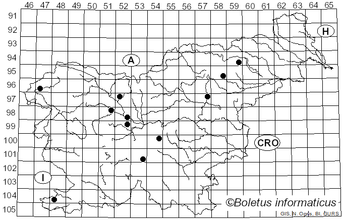 <i>Boletopsis grisea</i> (Peck) Bondartsev & Singer (1941)